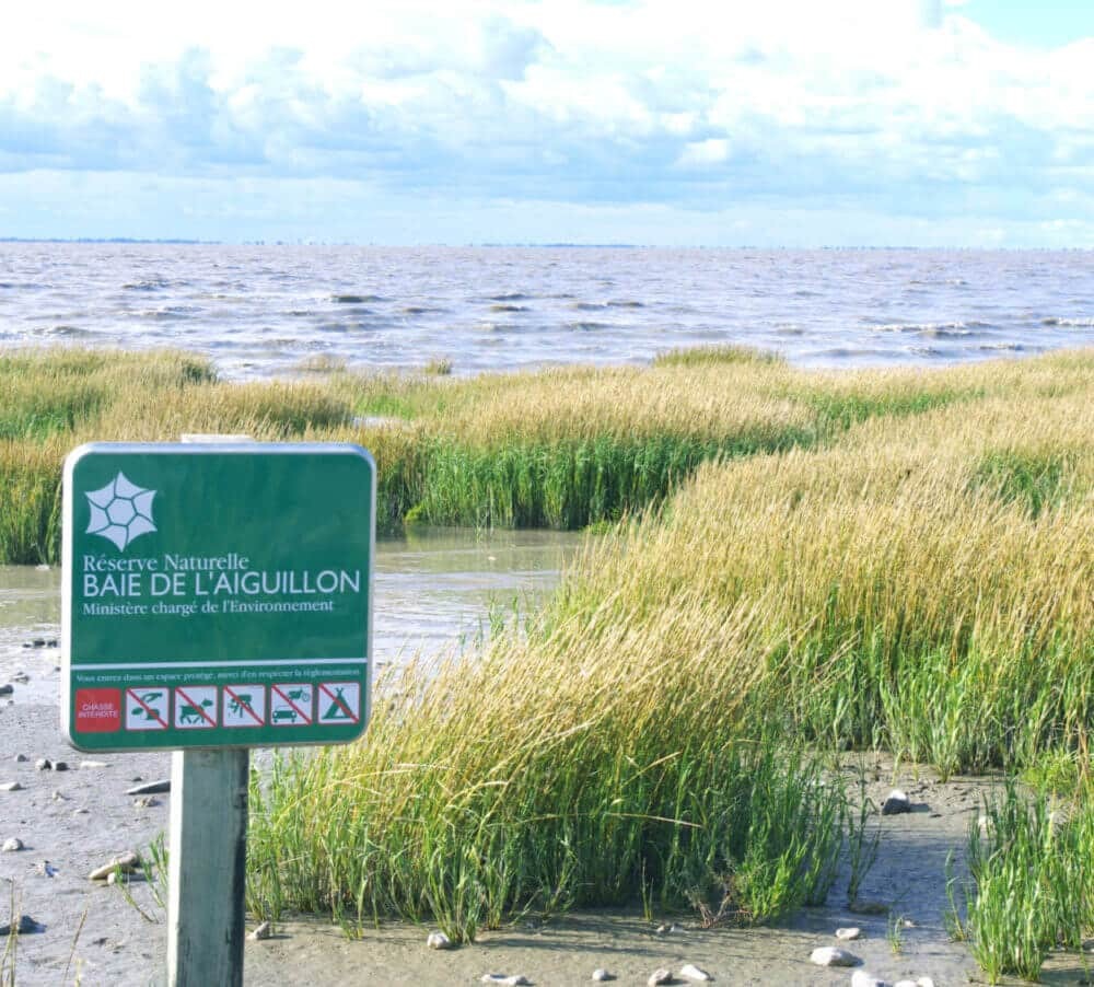 Balade à vélo autour de La Rochelle : le chemin littoral vers Esnandes image